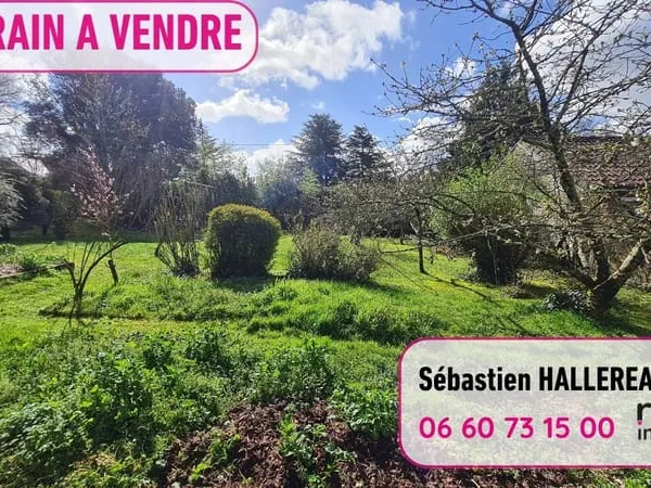 Terrain constructible