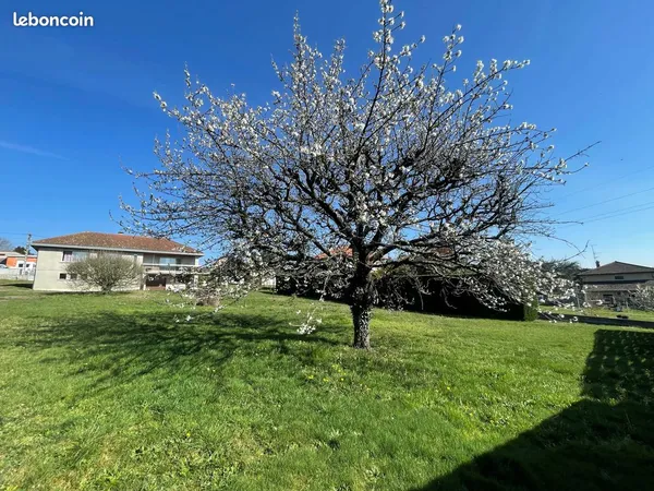 Belle maison individuelle sur un terrain clos et arboré de 2512 m²
