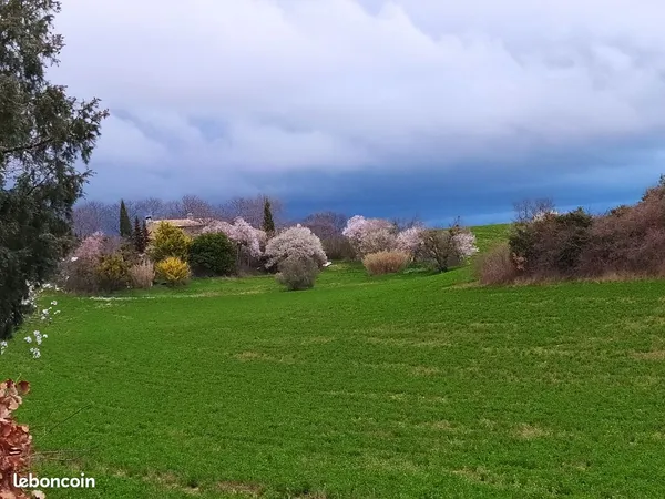 Mas provençal isolé à rénover