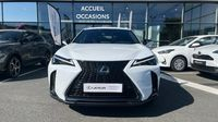 Lexus Ux 250h F SPORT Design 2WD — photo 1