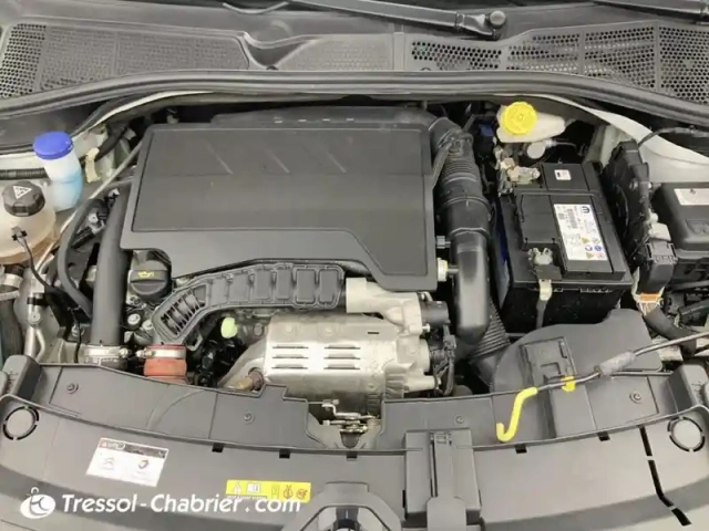 Citroën C4 cactus puretech 110 s&amp;s bvm6 shine — photo 7
