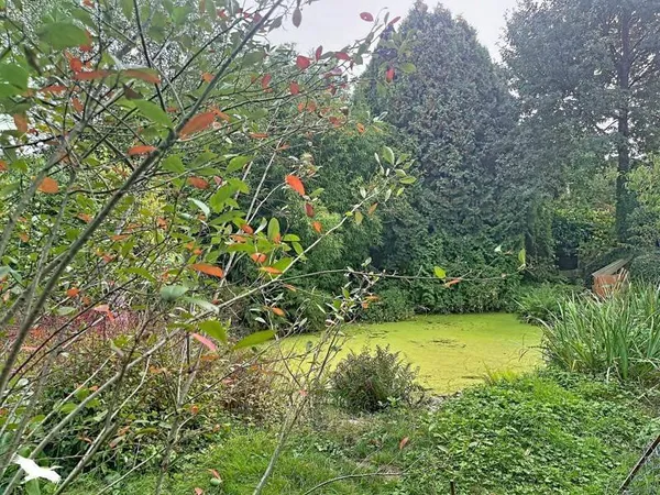 Maison 4 pièces 52 m²
