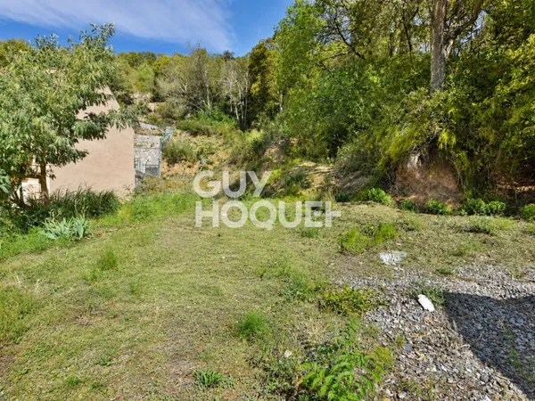 Terrain à bâtir Vente Amélie-les-Bains-Palalda  735m² 80000€