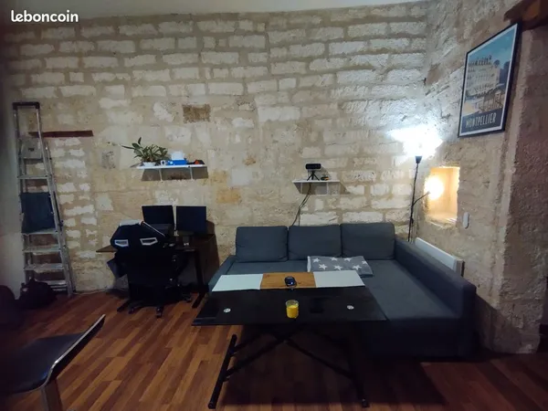 Appartement T1 Montpellier Centre - Rue de l'Université