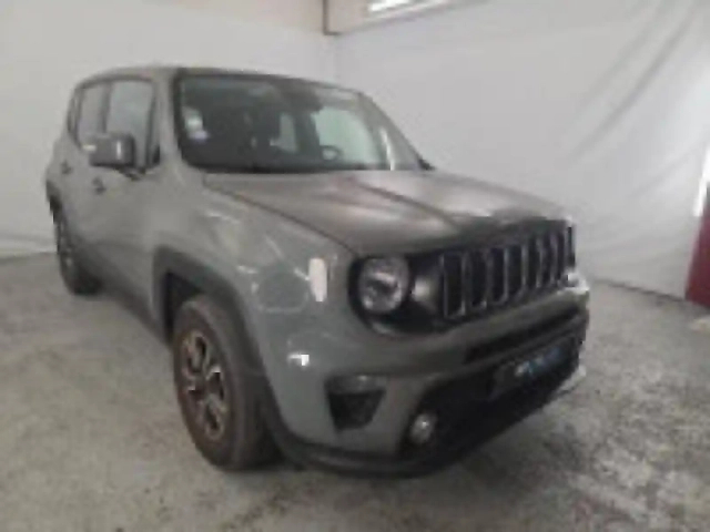 Jeep Renegade 1.0 gse t3 120ch quicksilver winter edition my20 — photo 3