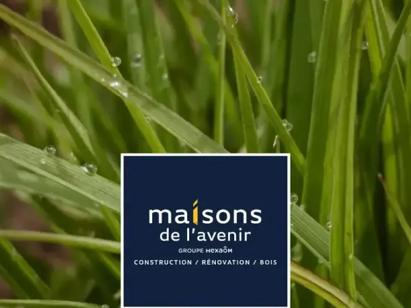 Terrain 330 m²