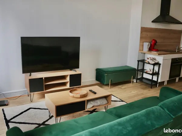 Charmant T2 bis / T3 meublé & neuf - 50 m² - Rue des Cornières (Hyper-centre)