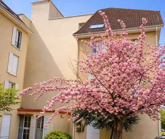 Appartement 3 pièces 80 m²