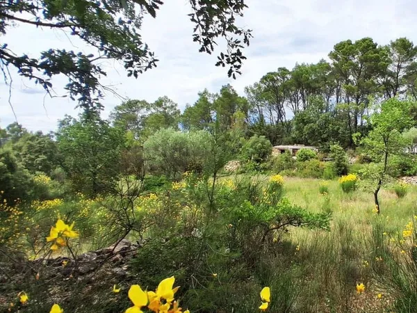 Ancienne propriété agricole de 6Ha en AOP