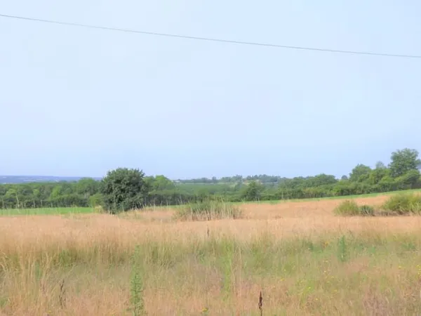 Terrain 2318 m²