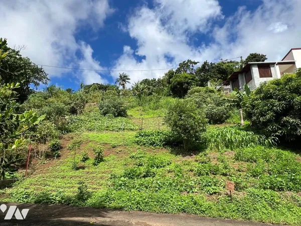 Terrain 450 m²