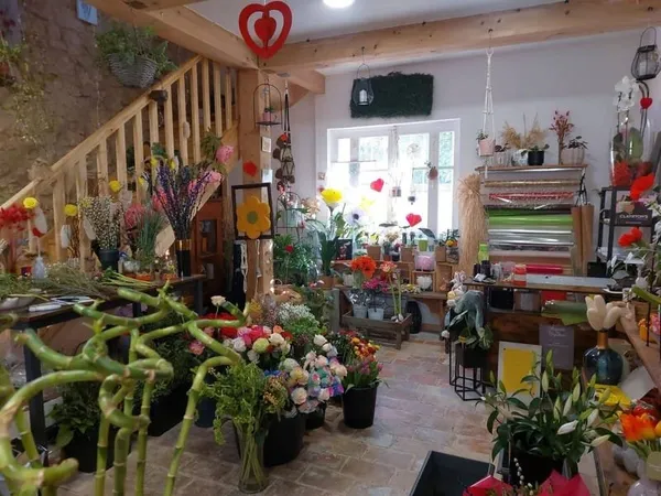 Local commercial 58 m²