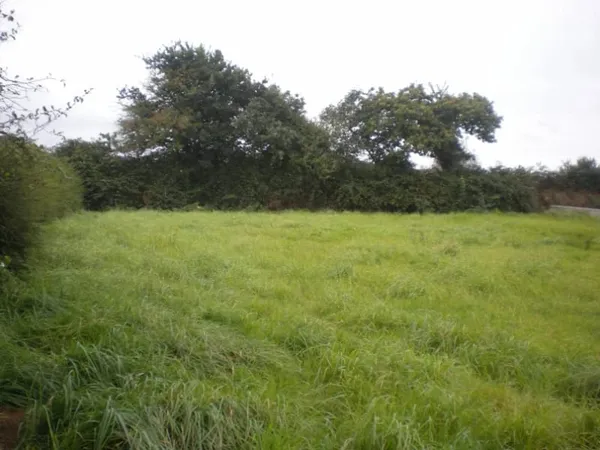 Terrain 482 m²