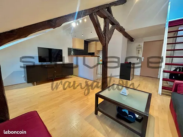 Duplex 2 pièces 42 m²
