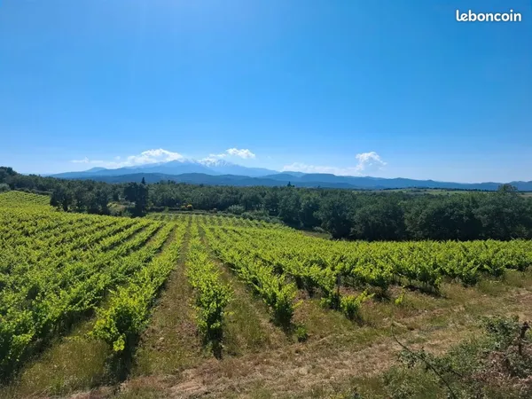 Terrain de loisirs 5 620 m² - Passa - Vue Canigou