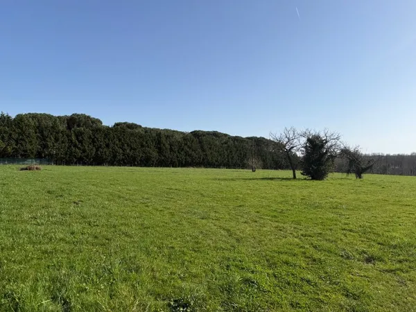 Terrain à bâtir à Lignan-de-Bazas (33430)