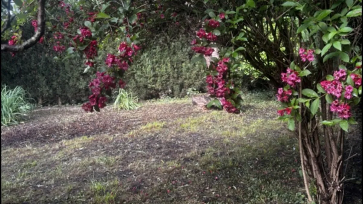 Photo 28