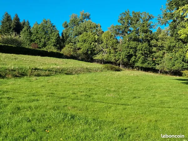 Terrain 3087 m² SAULCY SUR MEURTHE