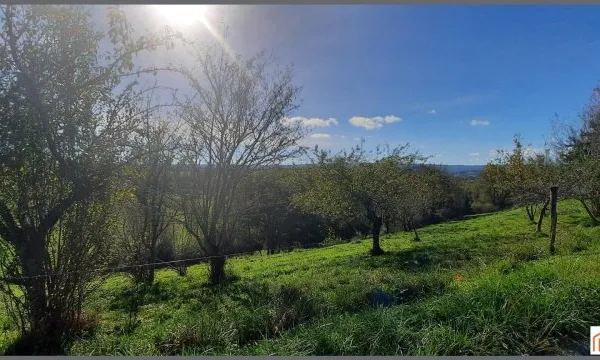 Terrain constructible en partie proche de Brive