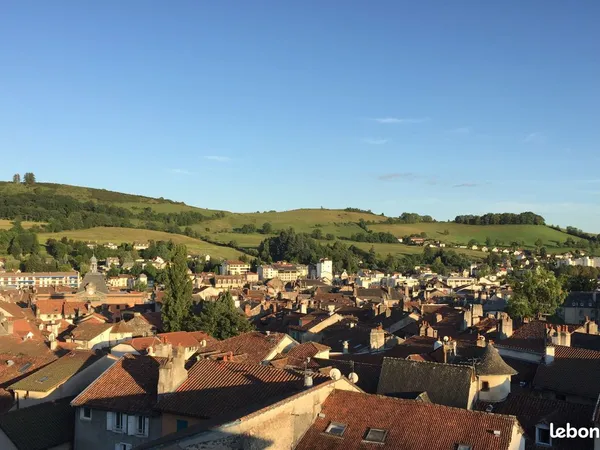 Centre-ville - dernier étage - T3 avec parking et cave