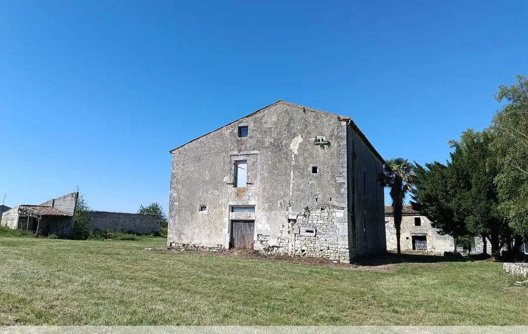 Photo 17