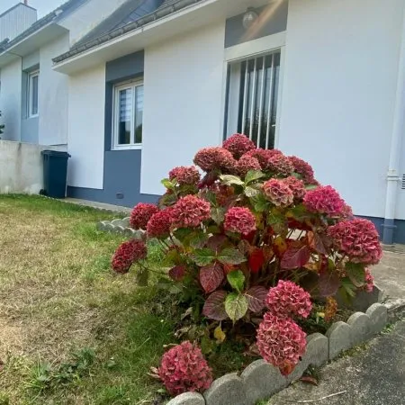 Maison 4 pièces 84 m²