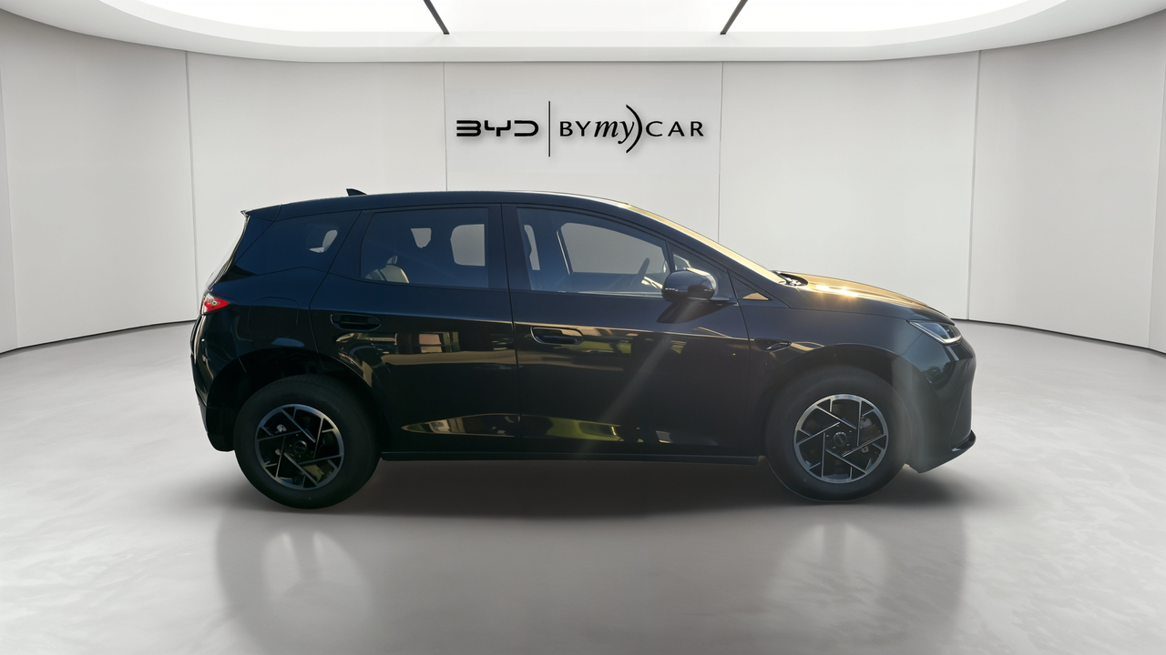 BYD Dolphin G 1.5 DM-i PHEV 212 ch — photo 6