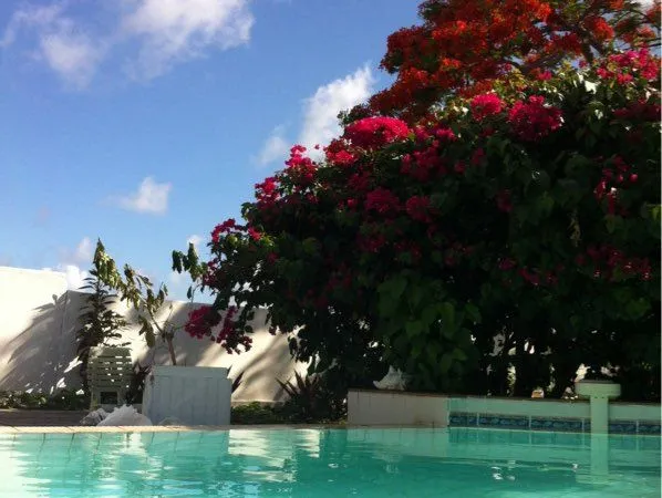 Dans résidence. Vue magnifique sur mer et piscine, au-dessus de la plage des raisns clairs. Dans un 
