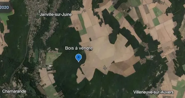 JANVLLE SUR JUINE PARCELLE DE BOIS 10118M2 A VENDRE