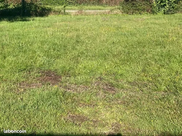Terrain 590 m² Parentis En Born