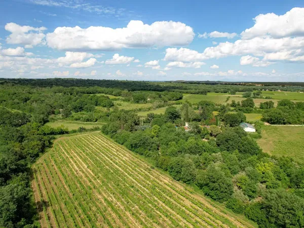 Demeure d'exception 9 pièces 708 m²