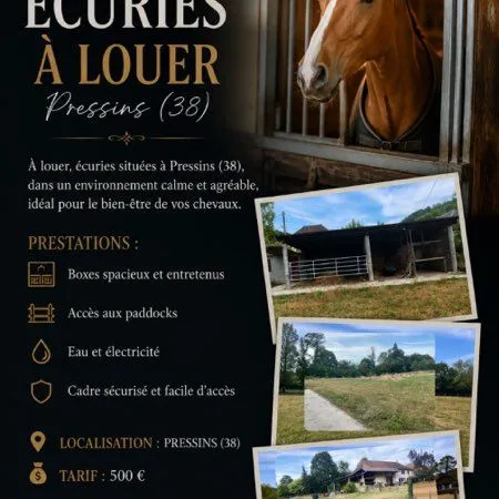 Box pré a louée