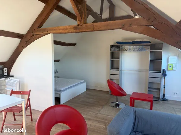 Studio très lumineux