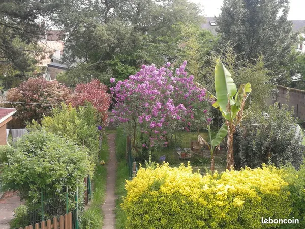 Appart avec jardin petite copro dispo le 1 octobre