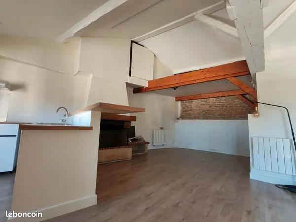 T3 de charme avec mezzanines et poutres apparentes