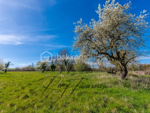 Terrain 2650 m²