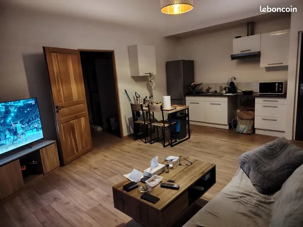 T2 41 m² rénové avec cachet pierre apparente et climatisation