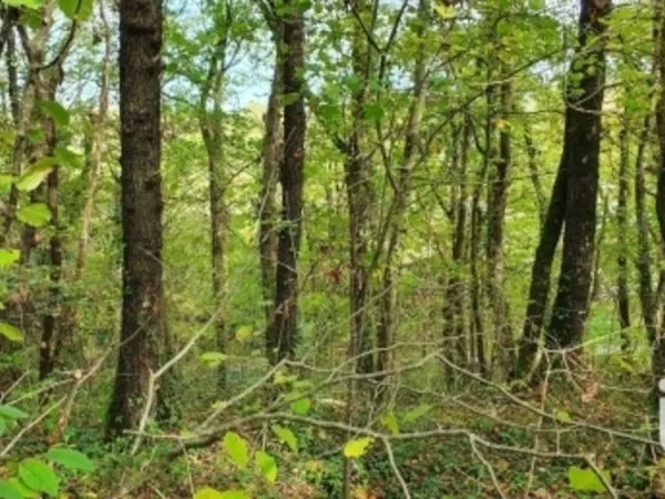Vente Terrain Loisirs 606 m²