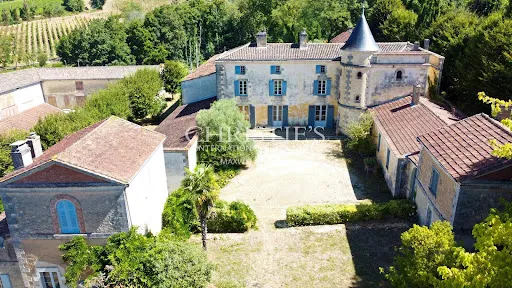 Vignoble 300773 m²