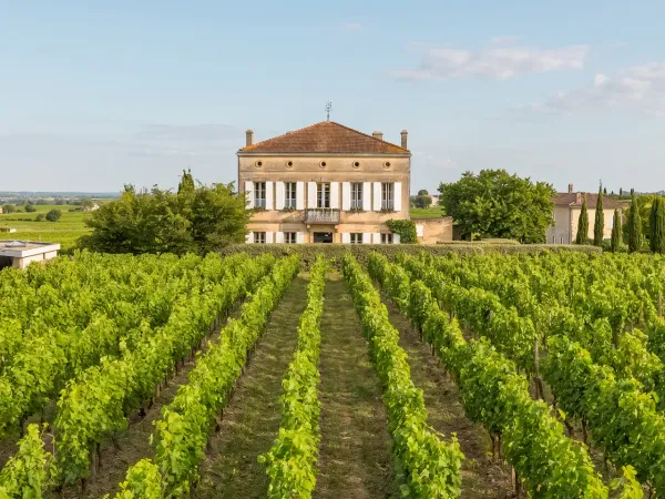 Saint Emilion - Les vignobles en toile de fond. Le village à vos pieds.