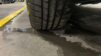 Mercedes Classe A 200 d 150ch AMG Line 8G-DCT — photo 25