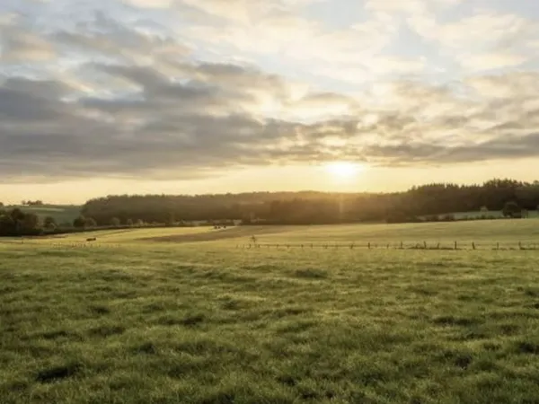 Terrain 599 m²