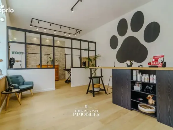 Local Professionnel- 55 m2 - Altkirch