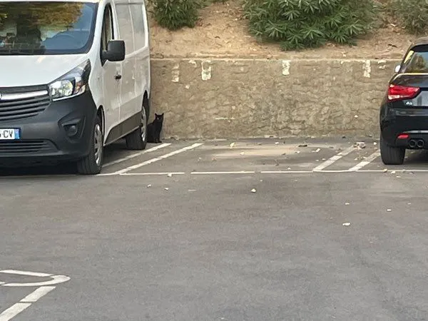 Place de parking