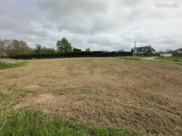 Terrain constructible