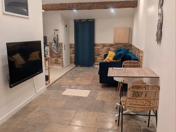 Studio bis meublé 40m² avec mezzanine et Velux - Quartier Écusson