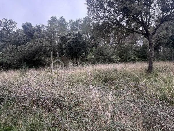 Terrain 26435 m²