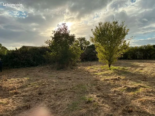 Terrain agricole