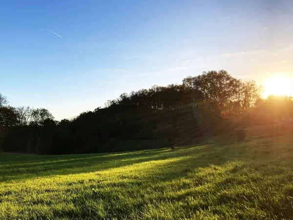 Terrain 1311 m²
