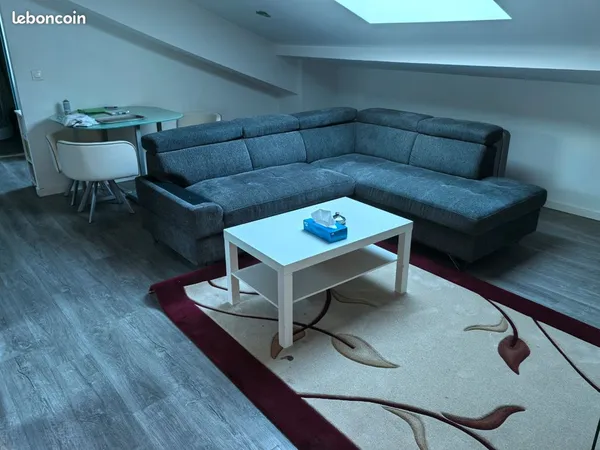 Appartement meublé 40 m² - Saint-Étienne